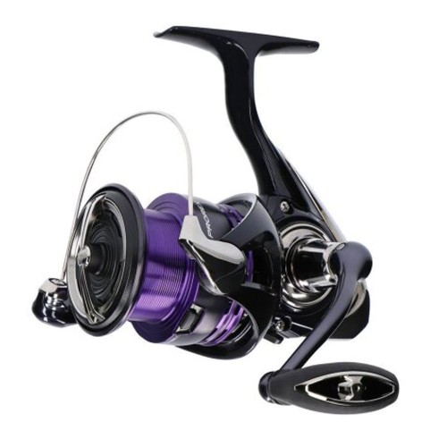 Daiwa 24 Prorex X LT 2500
