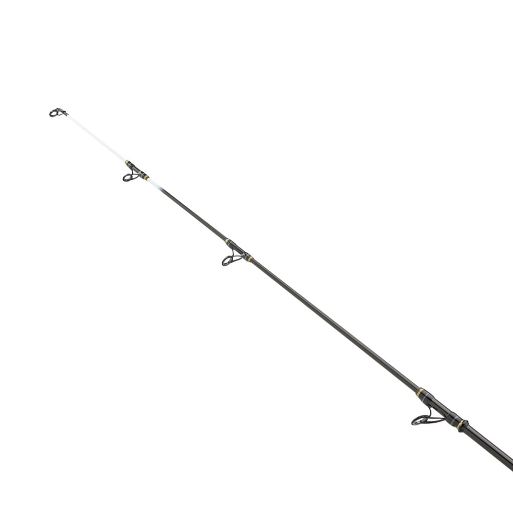 Daiwa New Powermesh Telesurf 4.20m