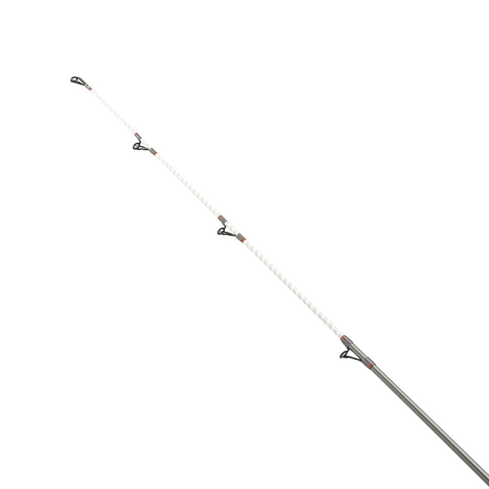 Daiwa Shorecast Surf X 4.20m