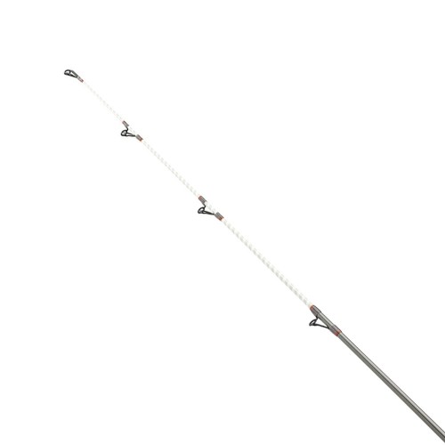 Daiwa Shorecast Surf X 4.20m
