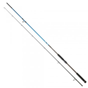 Daiwa Spitfire 2024 SeaBass 2.44m