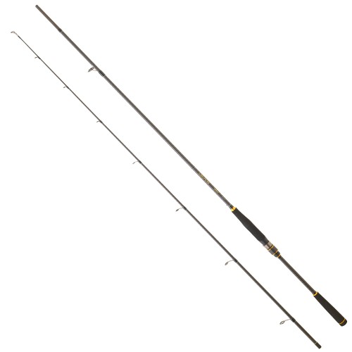 Daiwa Legalis 25 SeaBass 2.44m