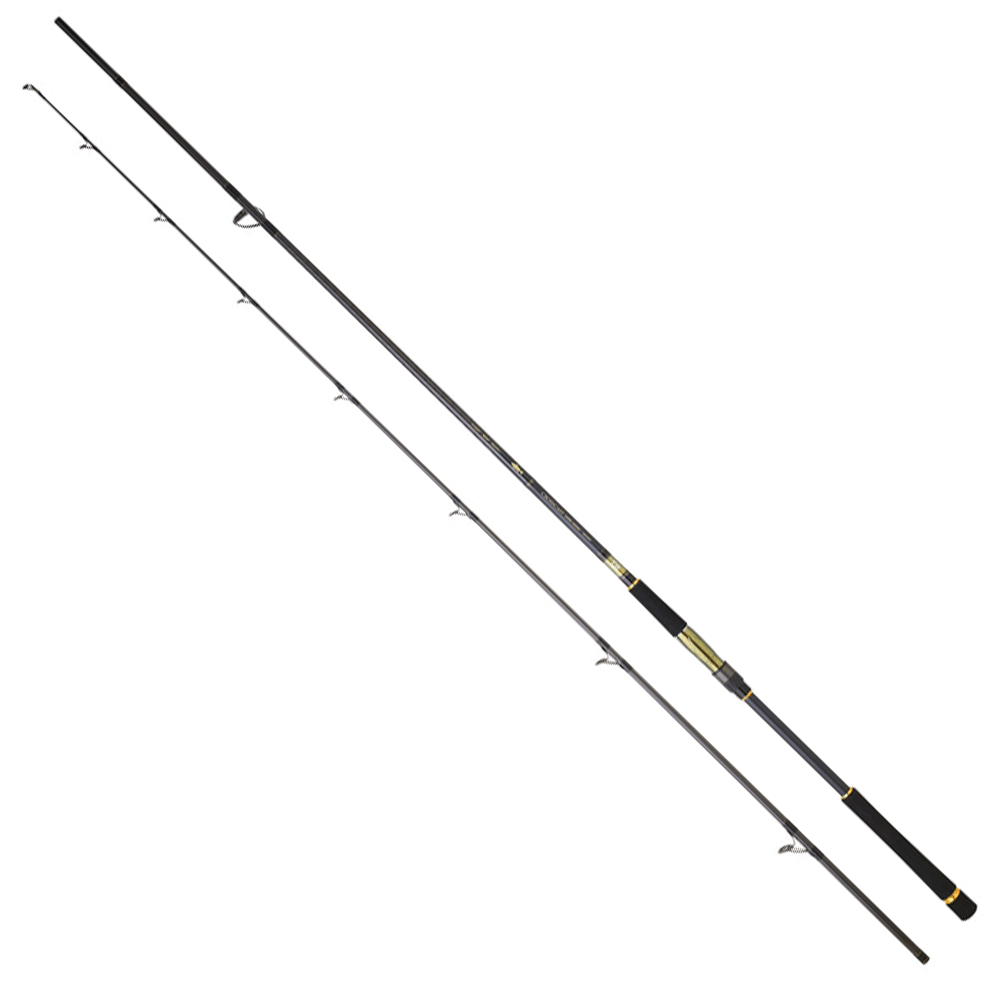 Daiwa Crosscast-S Shore Jigging 3.05m