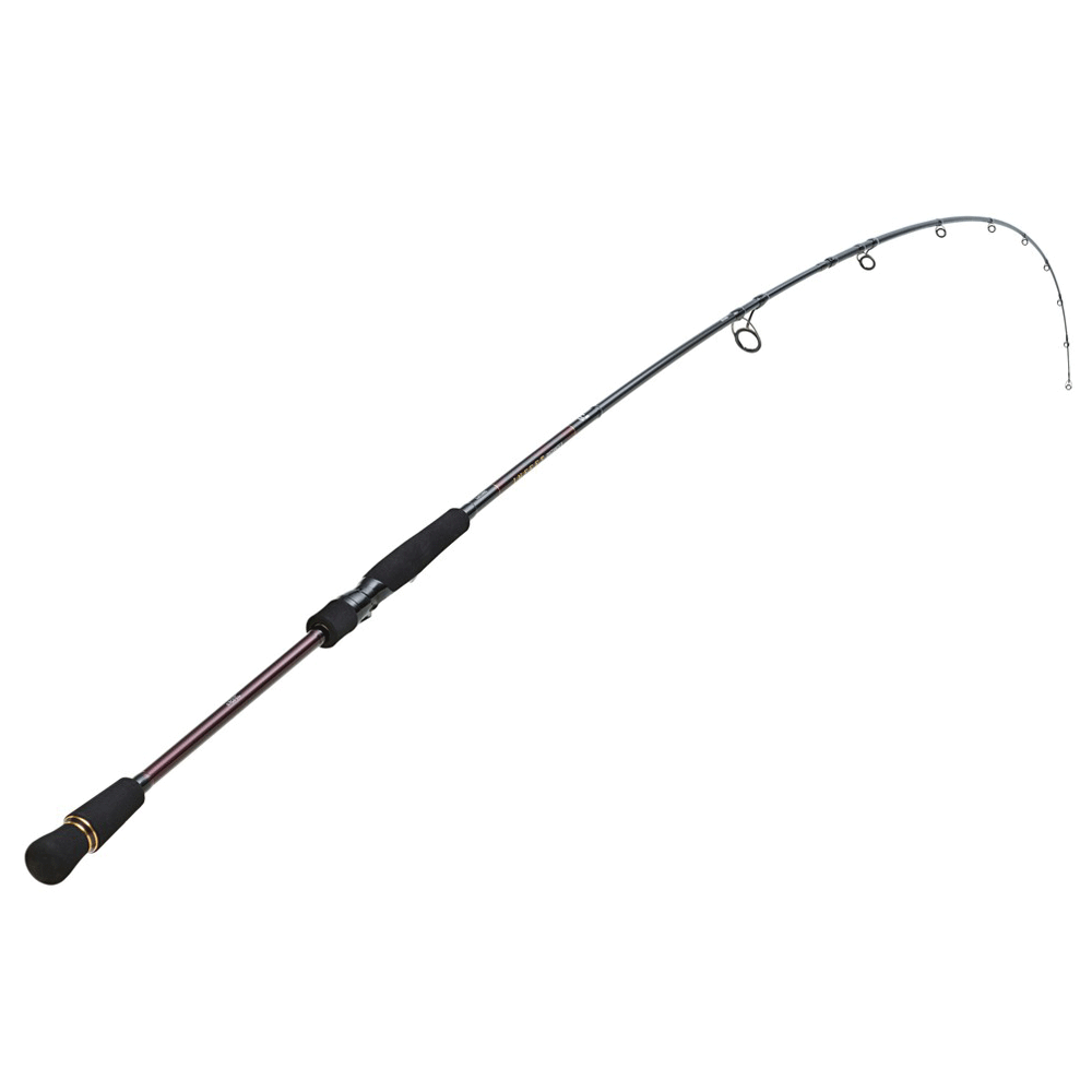 Daiwa Infeet Seabass 2.74m