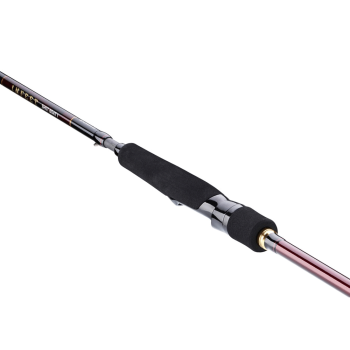 Daiwa Infeet Seabass 2.51m