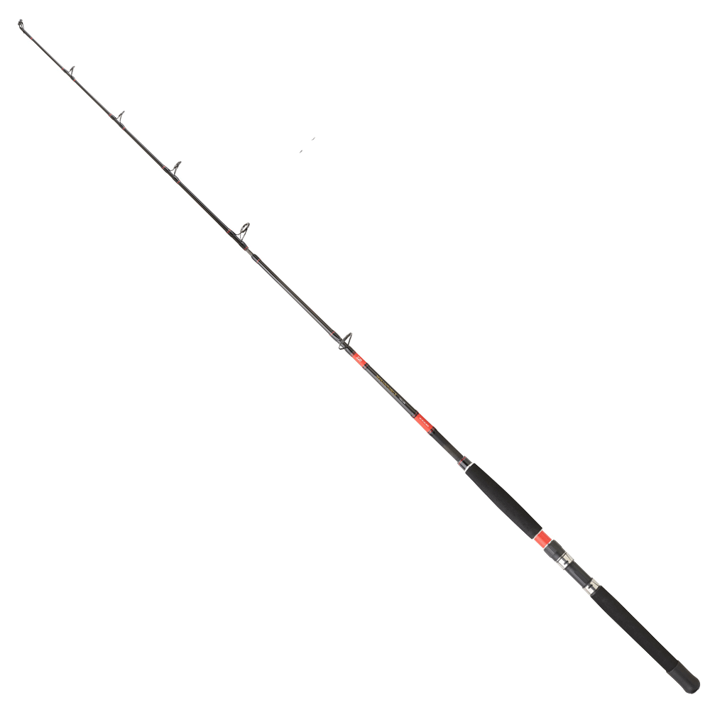 Daiwa Megaforce Trolling 3050