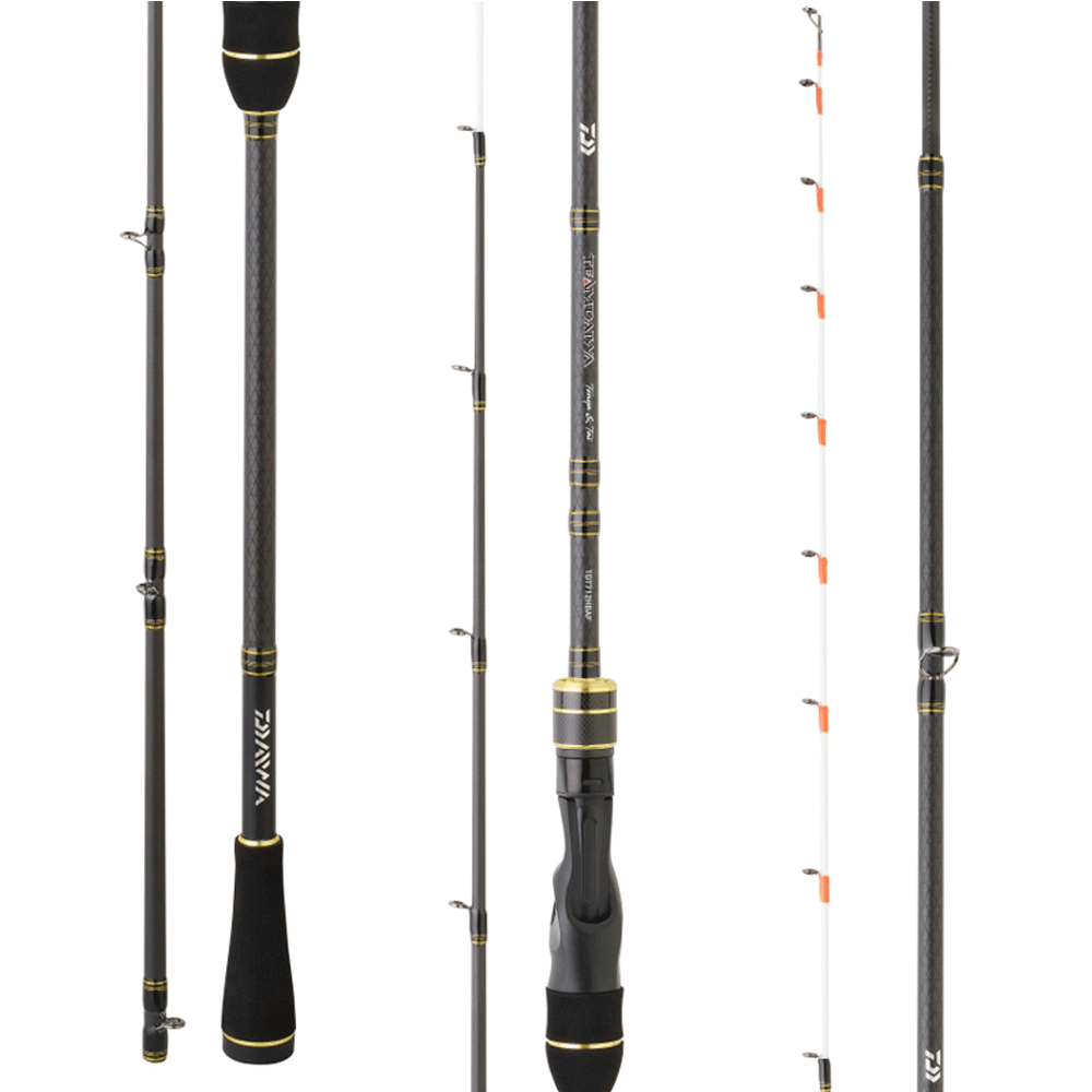 Daiwa Team Tenya 2.34m