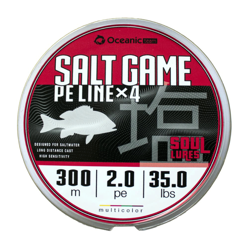 Oceanic Team Salt Game x4 Braid 300m