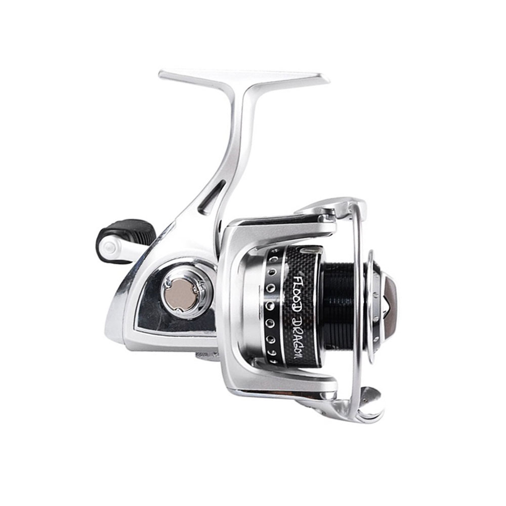 Ryobi Flood Dragon 3000