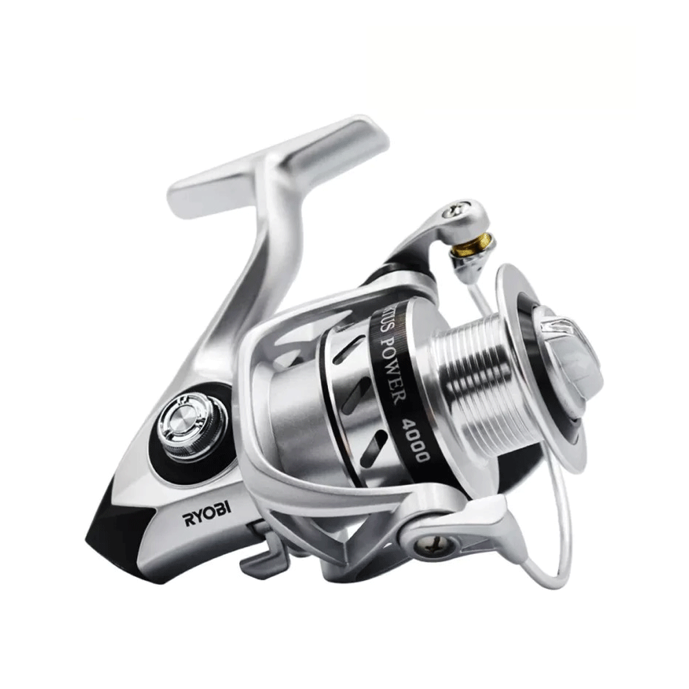 Ryobi Virtus Power 4000