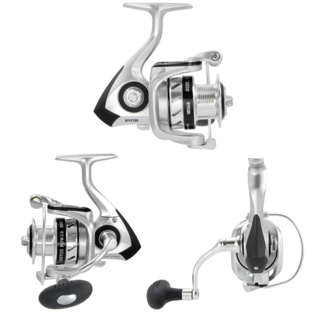 Ryobi Virtus Power 4000