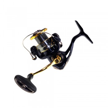 Ryobi Miiraa SW 4000