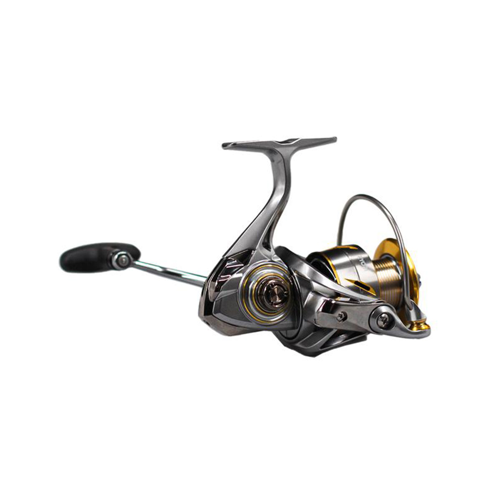 Ryobi Zauber SW 4000