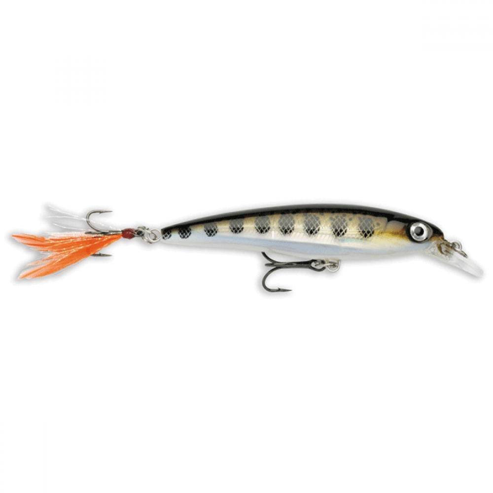 Rapala X-Rap 100mm