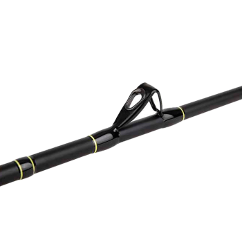 Shimano Beastmaster CX Slim Boat 2.29m