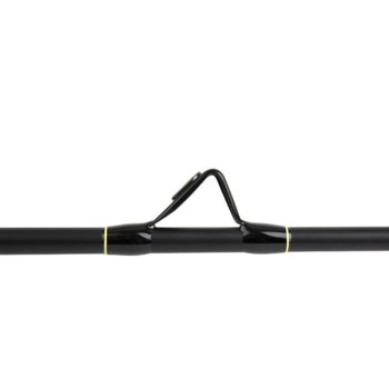 Shimano Beastmaster CX Boat Slim 2030