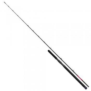 Shimano Vengeance Boat Slim BX 2030