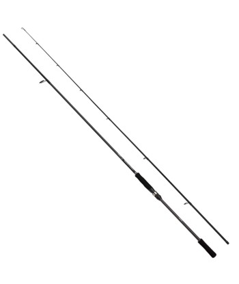 Shimano Bassterra A Sea Bass 2.90m