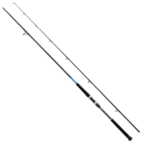 Shimano Bassterra XT Shore Jigging 3.05m