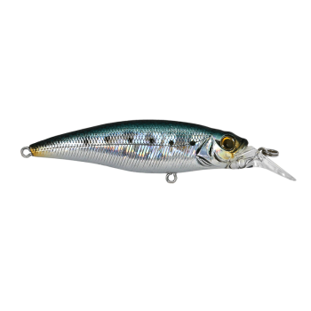 Cultiva Savoy Shad 80S