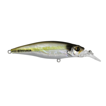 Cultiva Savoy Shad 80S