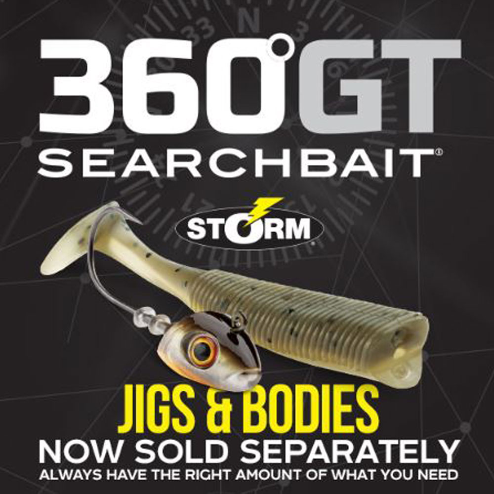 Storm 360GT Jigs 3.5gr