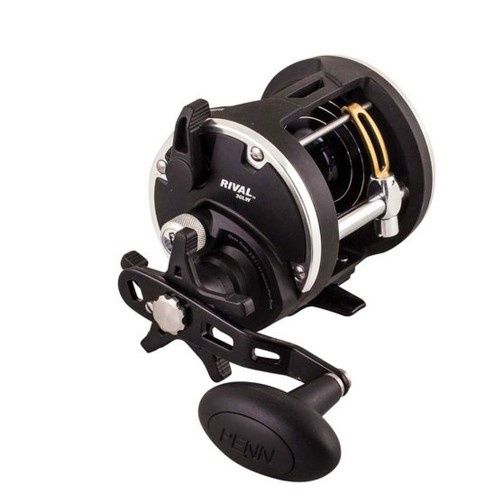 Penn Rival Level Wind  30RH