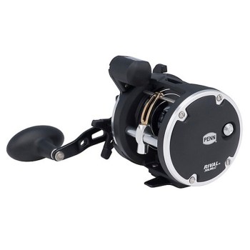 Penn Rival Level Wind LC 20LH