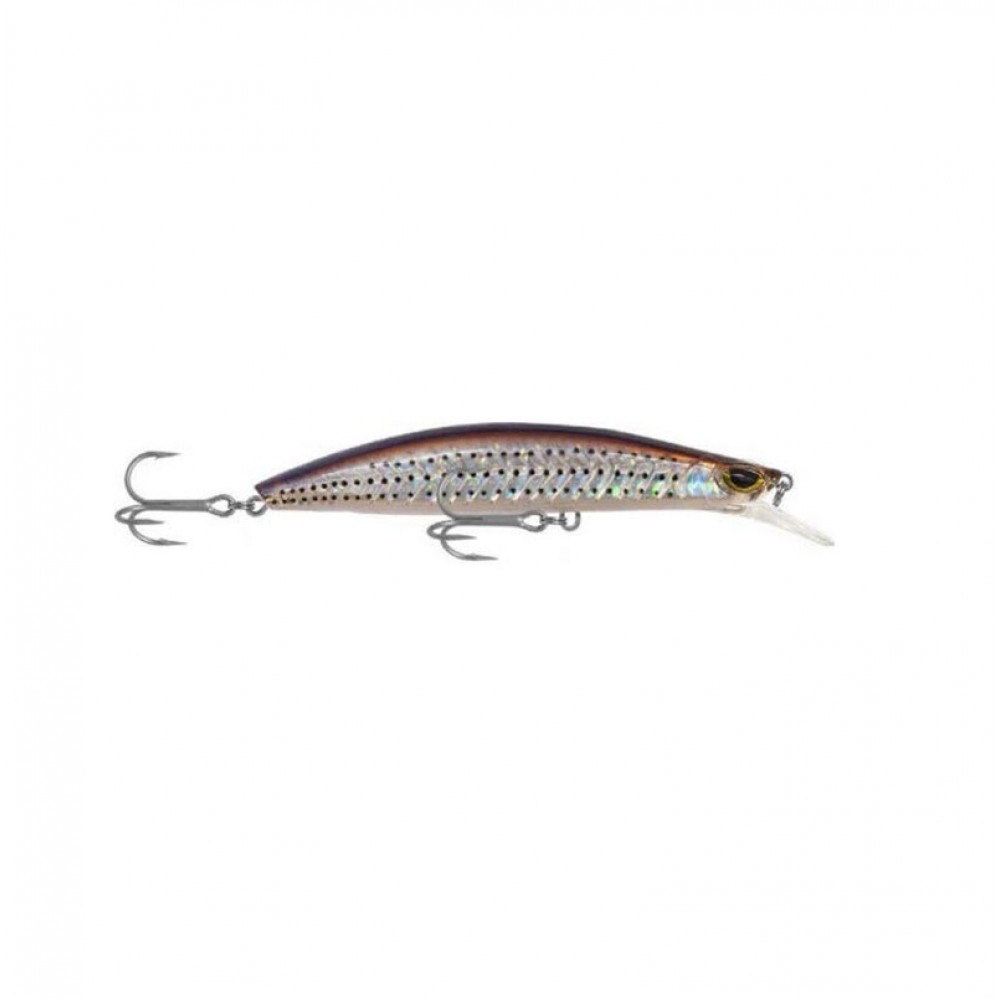 Shinka Gladiator 120mm