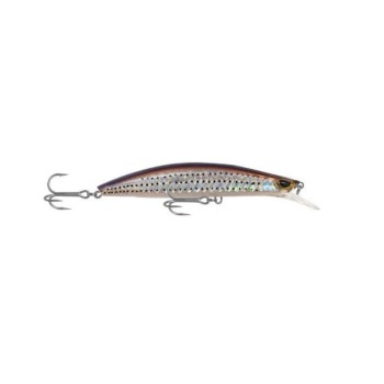 Shinka Gladiator 120mm