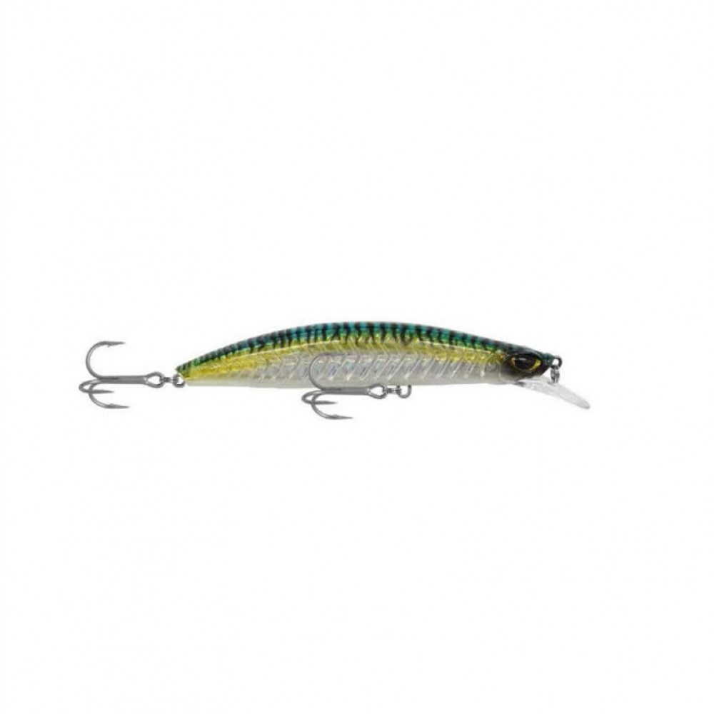 Shinka Gladiator 120mm