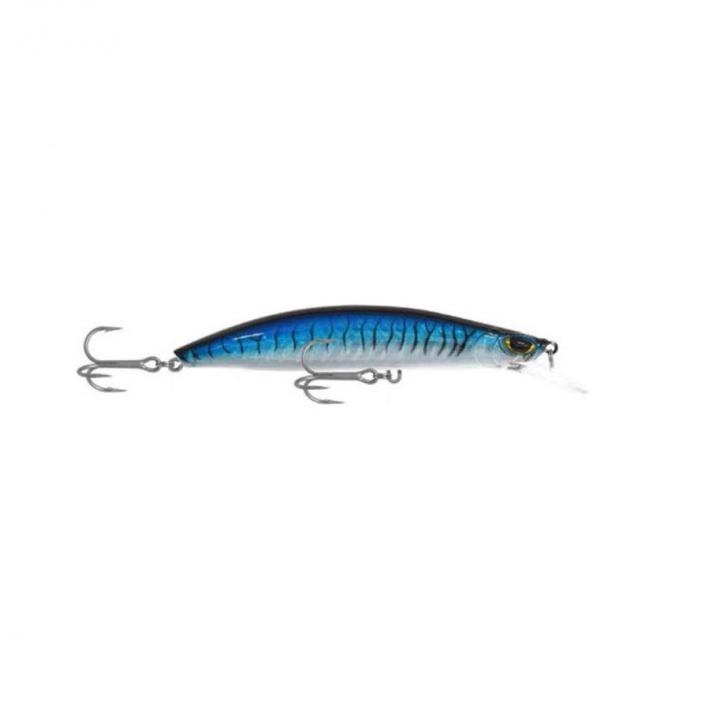 Shinka Gladiator 120mm