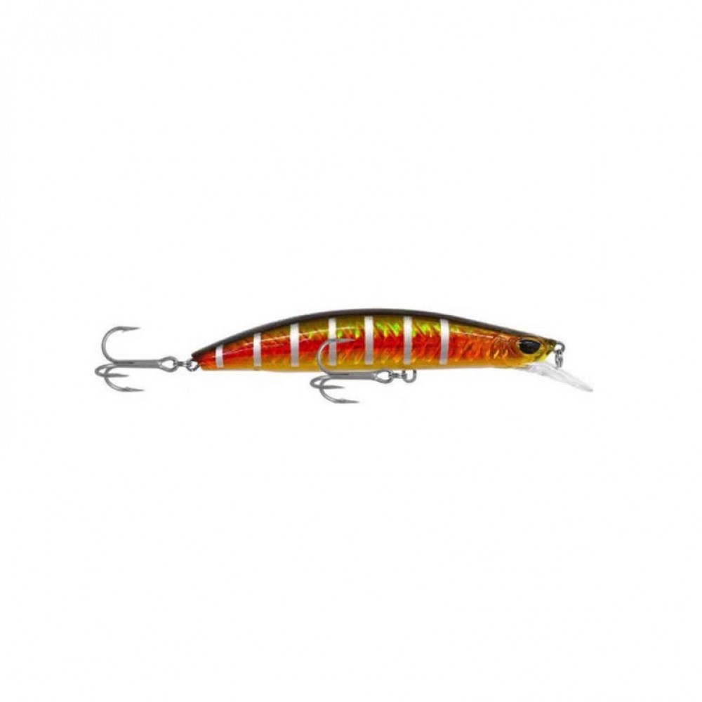 Shinka Gladiator 120mm