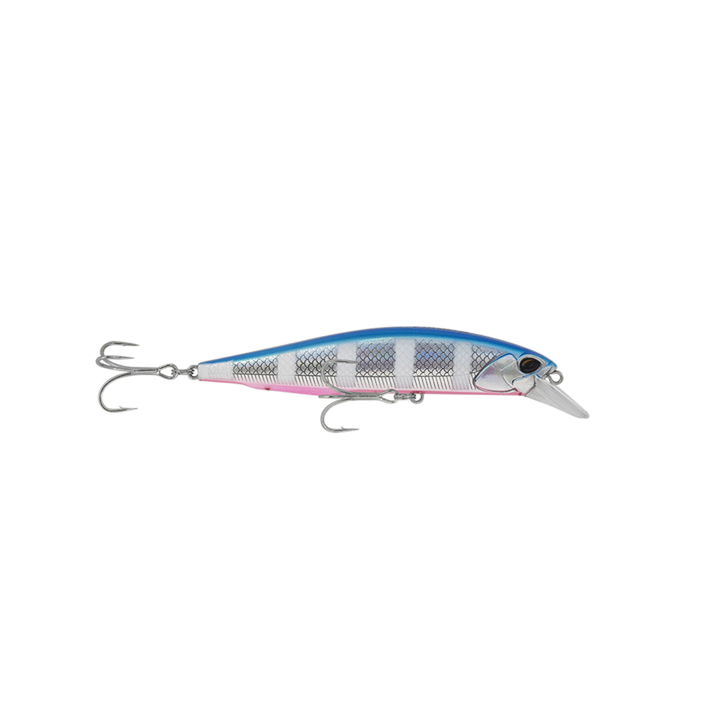 Shinka Jimbe 100mm