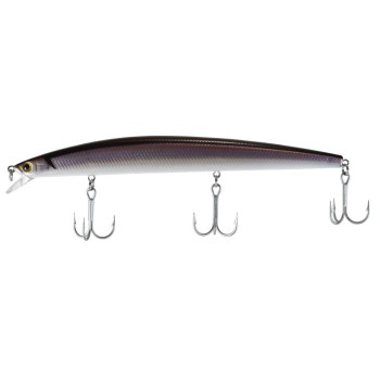 Shinka Sutikku 14.5cm