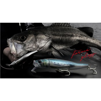 Little Jack Forma Gloss 125mm (23gr)