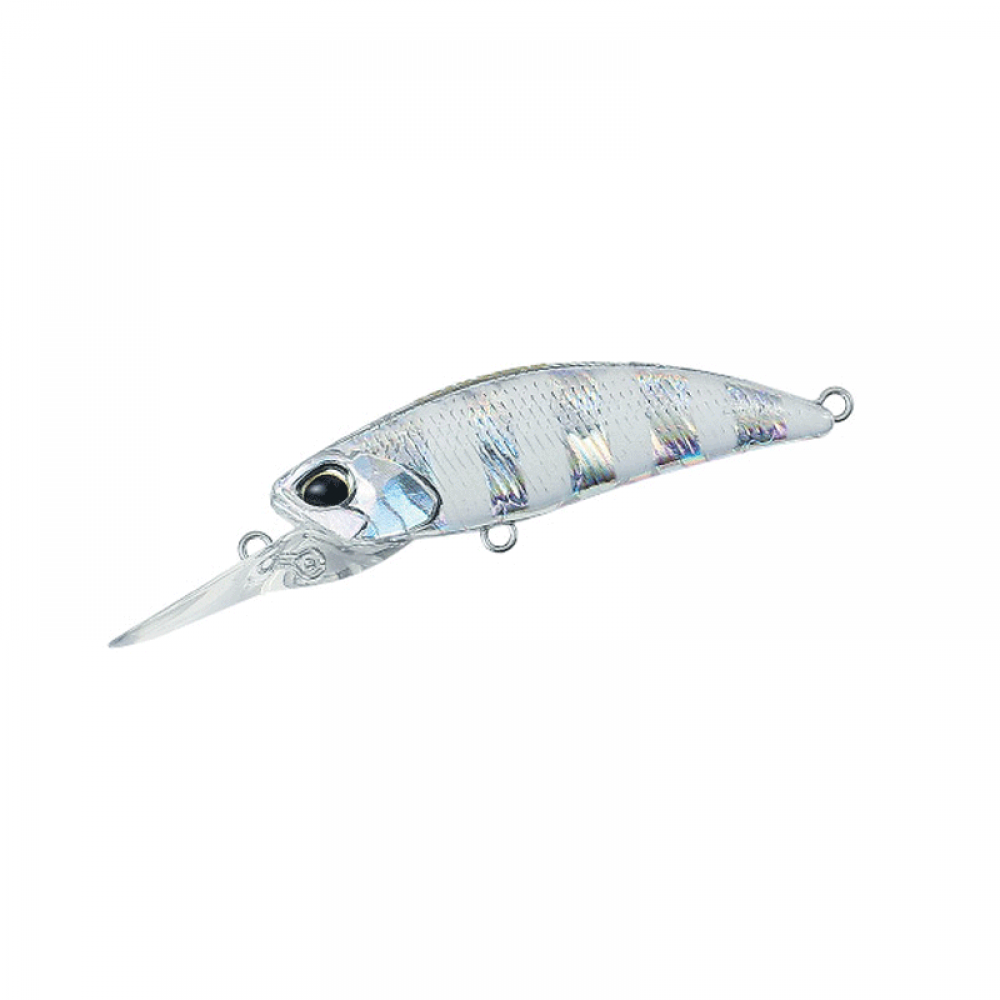 Duo Tetra Works Toto Shad 48S