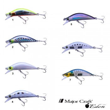 Major Craft Eden SW 60S
