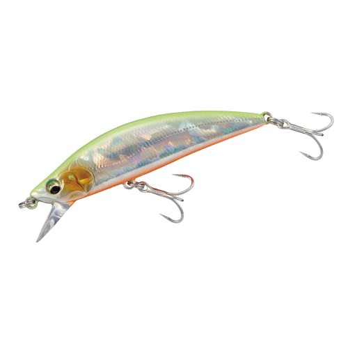 Major Craft Eden SW Custom Color 60S