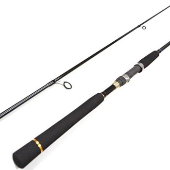 Major Craft Firstcast Seabass 962M 2.92m