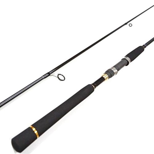 Major Craft Firstcast Seabass 962M 2.92m