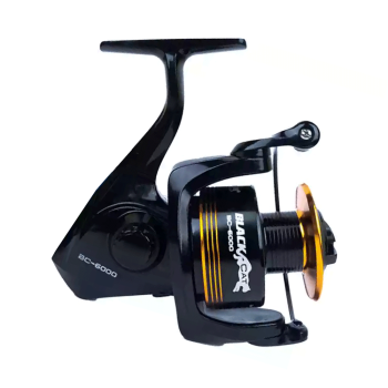 Pioneer Black Cat 5000