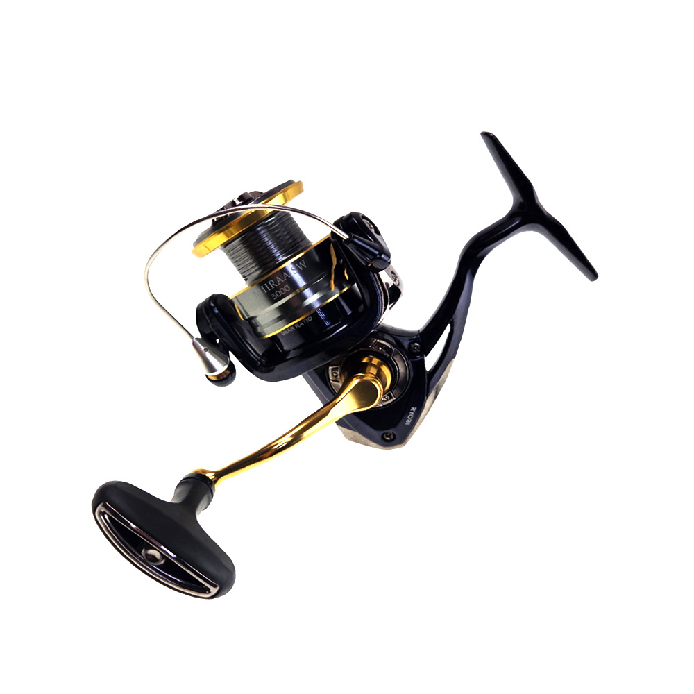 Ryobi Miiraa SW 1000